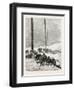 Telegraph Wires in the Desert. Egypt, 1879-null-Framed Giclee Print