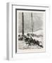 Telegraph Wires in the Desert. Egypt, 1879-null-Framed Giclee Print