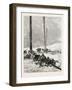 Telegraph Wires in the Desert. Egypt, 1879-null-Framed Giclee Print