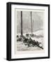 Telegraph Wires in the Desert. Egypt, 1879-null-Framed Giclee Print