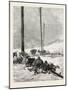 Telegraph Wires in the Desert. Egypt, 1879-null-Mounted Giclee Print