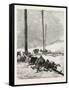 Telegraph Wires in the Desert. Egypt, 1879-null-Framed Stretched Canvas