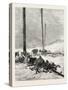 Telegraph Wires in the Desert. Egypt, 1879-null-Stretched Canvas