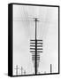 Telegraph Wires, Mexico, 1925-Tina Modotti-Framed Stretched Canvas