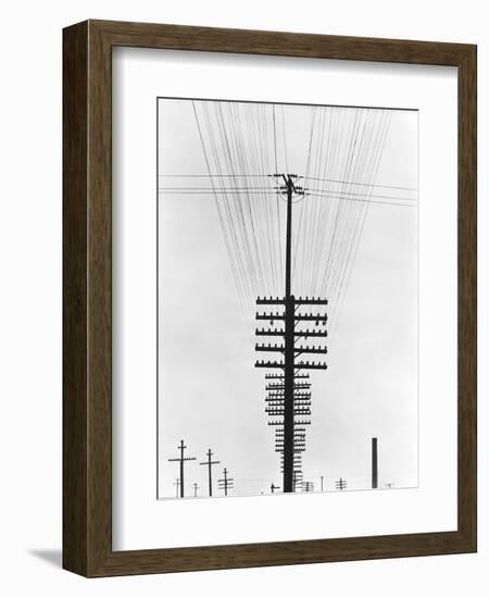 Telegraph Wires, Mexico, 1925-Tina Modotti-Framed Premium Giclee Print