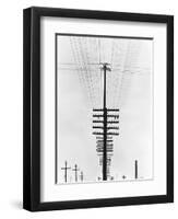 Telegraph Wires, Mexico, 1925-Tina Modotti-Framed Premium Giclee Print