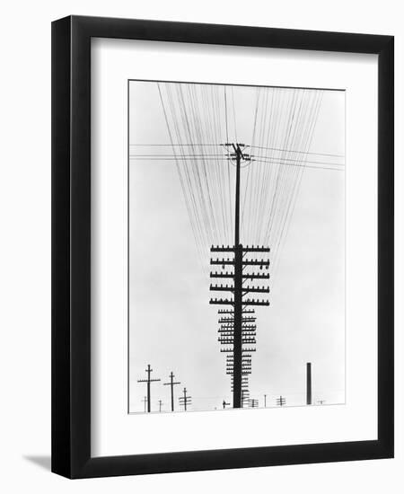 Telegraph Wires, Mexico, 1925-Tina Modotti-Framed Premium Giclee Print