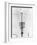 Telegraph Wires, Mexico, 1925-Tina Modotti-Framed Premium Giclee Print