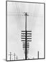 Telegraph Wires, Mexico, 1925-Tina Modotti-Mounted Premium Giclee Print