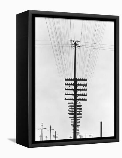 Telegraph Wires, Mexico, 1925-Tina Modotti-Framed Stretched Canvas