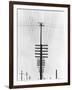 Telegraph Wires, Mexico, 1925-Tina Modotti-Framed Giclee Print