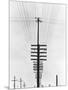 Telegraph Wires, Mexico, 1925-Tina Modotti-Mounted Giclee Print