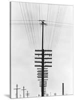 Telegraph Wires, Mexico, 1925-Tina Modotti-Stretched Canvas