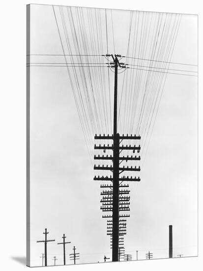 Telegraph Wires, Mexico, 1925-Tina Modotti-Stretched Canvas