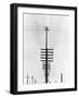 Telegraph Wires, Mexico, 1925-Tina Modotti-Framed Giclee Print