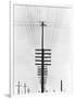 Telegraph Wires, Mexico, 1925-Tina Modotti-Framed Premium Giclee Print