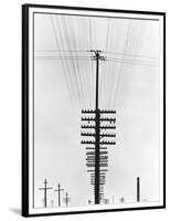 Telegraph Wires, Mexico, 1925-Tina Modotti-Framed Premium Giclee Print