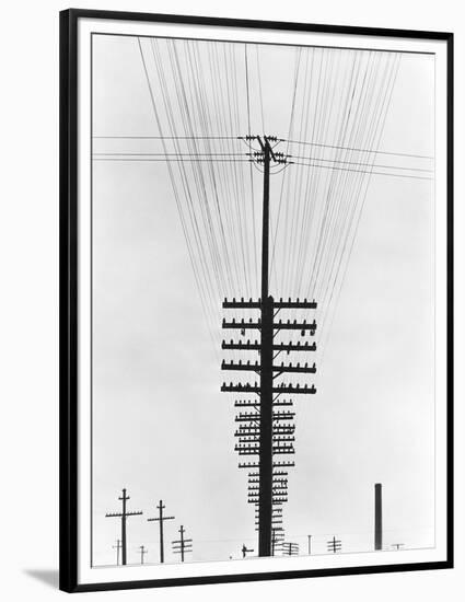 Telegraph Wires, Mexico, 1925-Tina Modotti-Framed Premium Giclee Print