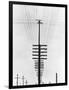 Telegraph Wires, Mexico, 1925-Tina Modotti-Framed Premium Giclee Print