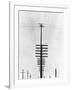 Telegraph Wires, Mexico, 1925-Tina Modotti-Framed Giclee Print