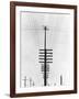 Telegraph Wires, Mexico, 1925-Tina Modotti-Framed Giclee Print