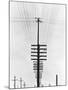 Telegraph Wires, Mexico, 1925-Tina Modotti-Mounted Giclee Print