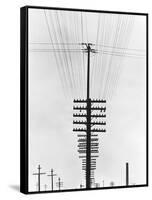 Telegraph Wires, Mexico, 1925-Tina Modotti-Framed Stretched Canvas