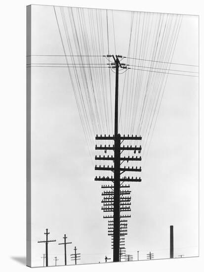 Telegraph Wires, Mexico, 1925-Tina Modotti-Stretched Canvas