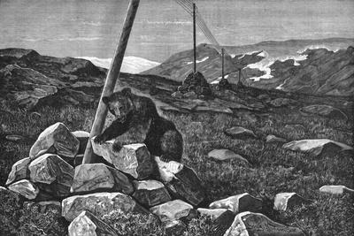 'Telegraph Wires' Posters - Georg Nielsen | AllPosters.com