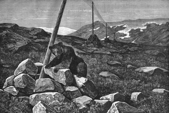 'Telegraph Wires' Posters - Georg Nielsen | AllPosters.com