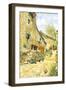 Brown Frame