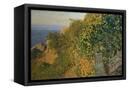 Canvas Black