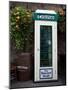 Telephone Kiosk, the Brazen Head Pub, Bridge Street, Dublin City, Ireland-null-Mounted Photographic Print