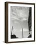 Telephone Lines and Buildings, c. 1940-Brett Weston-Framed Photographic Print