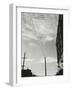 Telephone Lines and Buildings, c. 1940-Brett Weston-Framed Photographic Print