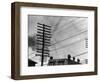 Telephone Poles and Wires-null-Framed Photographic Print
