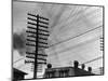 Telephone Poles and Wires-null-Mounted Photographic Print