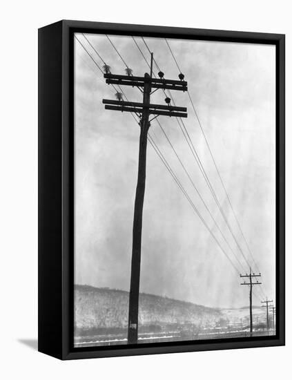 Telephone Poles in Snowy Weather-null-Framed Stretched Canvas