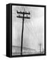 Telephone Poles in Snowy Weather-null-Framed Stretched Canvas