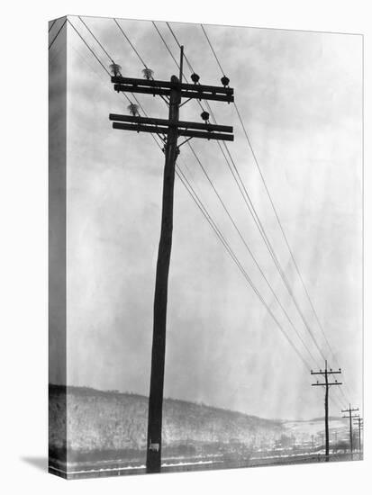 Telephone Poles in Snowy Weather-null-Stretched Canvas