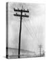 Telephone Poles in Snowy Weather-null-Stretched Canvas