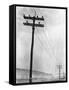 Telephone Poles in Snowy Weather-null-Framed Stretched Canvas