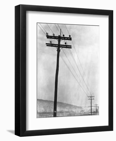 Telephone Poles in Snowy Weather-null-Framed Premium Photographic Print