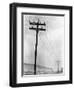 Telephone Poles in Snowy Weather-null-Framed Premium Photographic Print