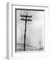 Telephone Poles in Snowy Weather-null-Framed Premium Photographic Print