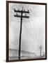 Telephone Poles in Snowy Weather-null-Framed Photographic Print