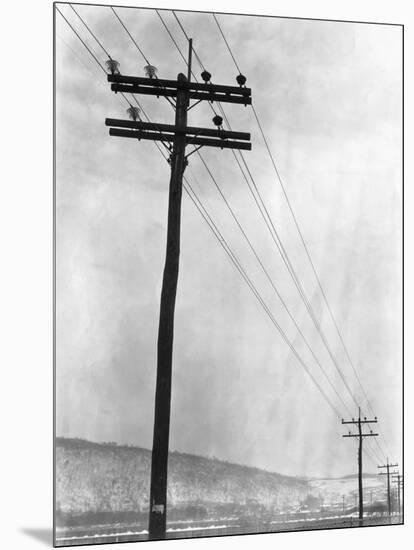 Telephone Poles in Snowy Weather-null-Mounted Photographic Print