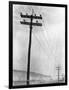 Telephone Poles in Snowy Weather-null-Framed Photographic Print