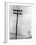 Telephone Poles in Snowy Weather-null-Framed Photographic Print