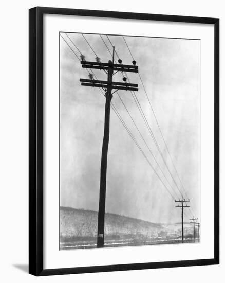 Telephone Poles in Snowy Weather-null-Framed Photographic Print